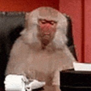 Meet your Posher, Jake